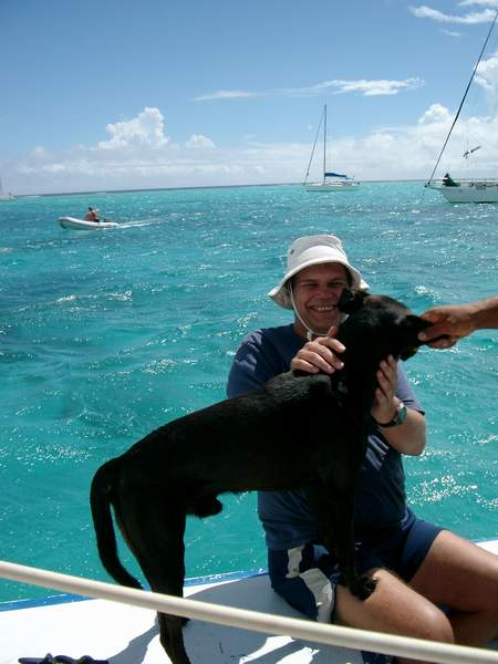Bordhund Surge