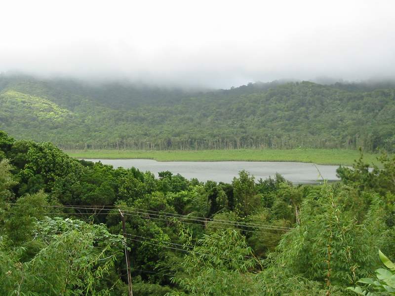 Kratersee im Regenwald