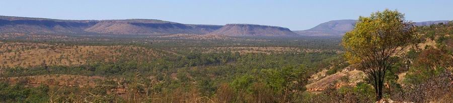 Panorama