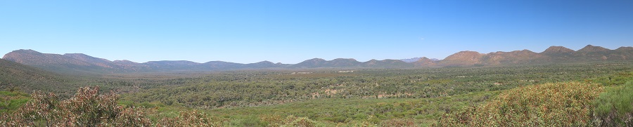 Panorama